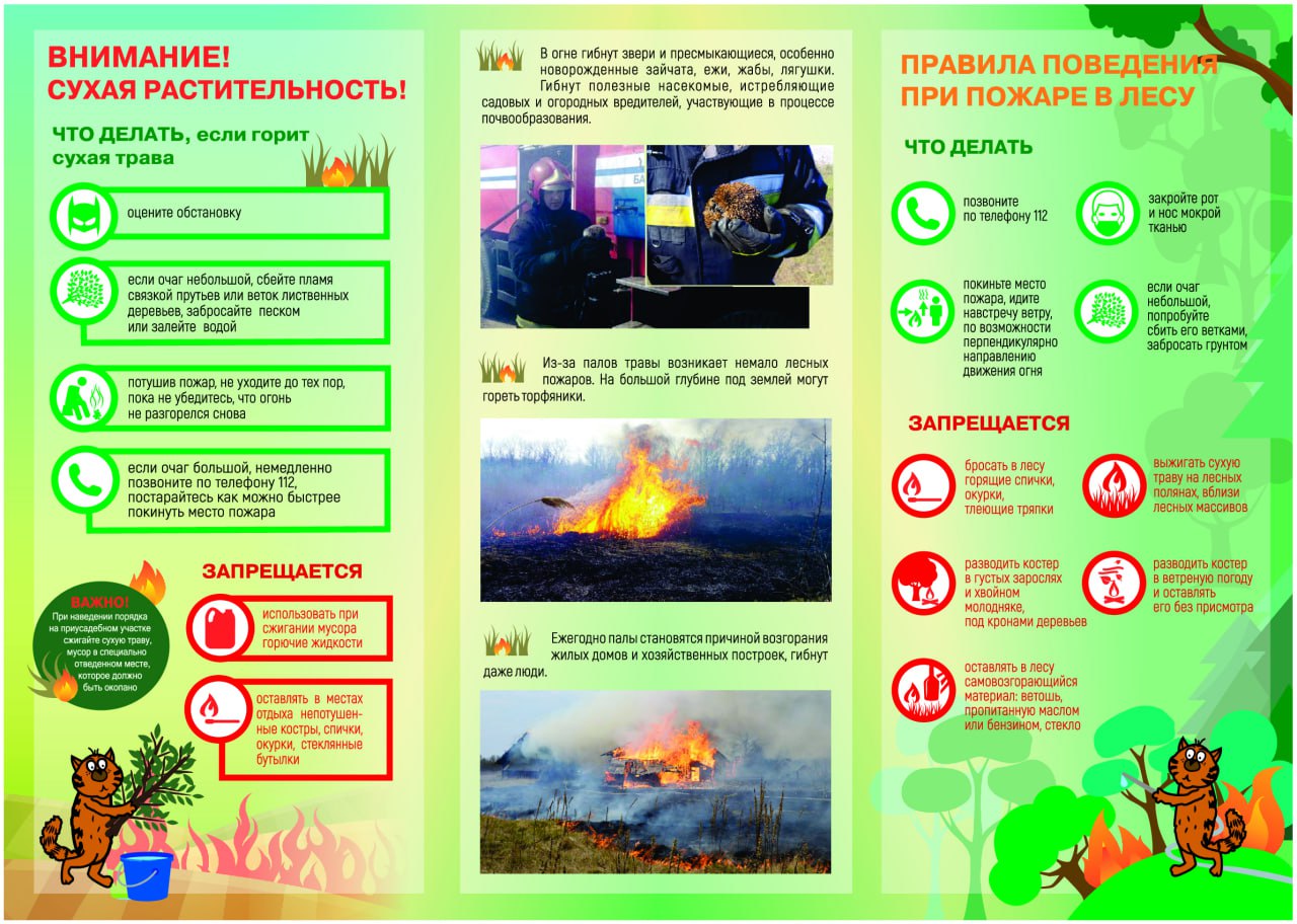 Паук возле кровати примета